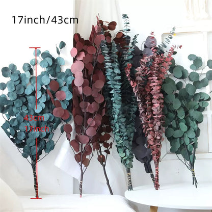 Eukalyptus babyblau - rot 10 Stiele