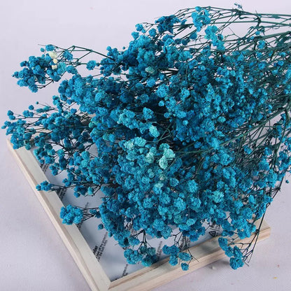 Gypsophile bleu foncé