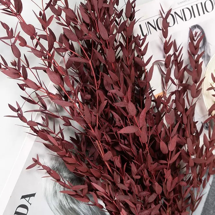 Eucalyptus stabilisé -Grande