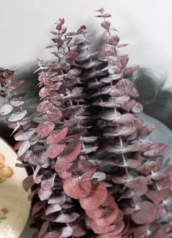 Eukalyptus babyblau - rot 10 Stiele