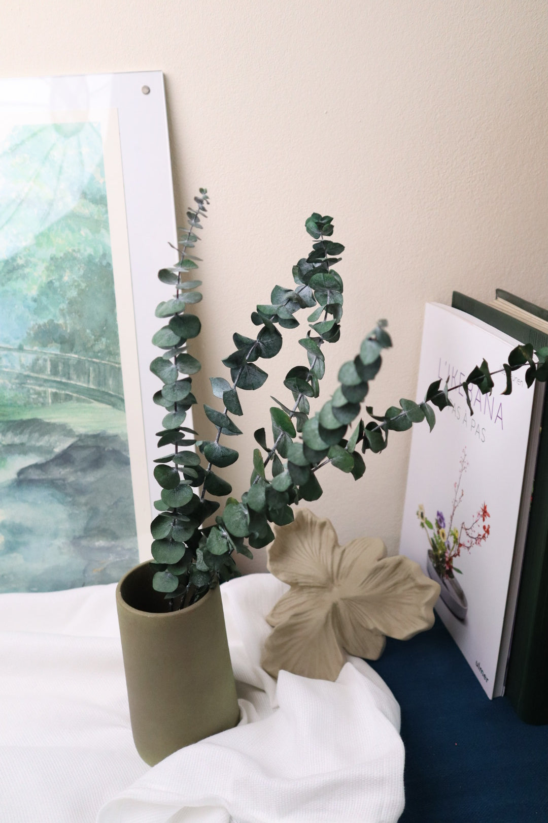 Eucalyptus Baby bleu