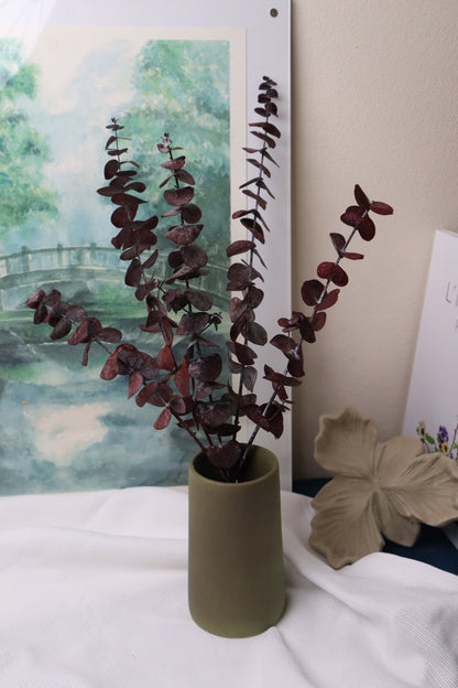 Eucalyptus baby bleu Rouge