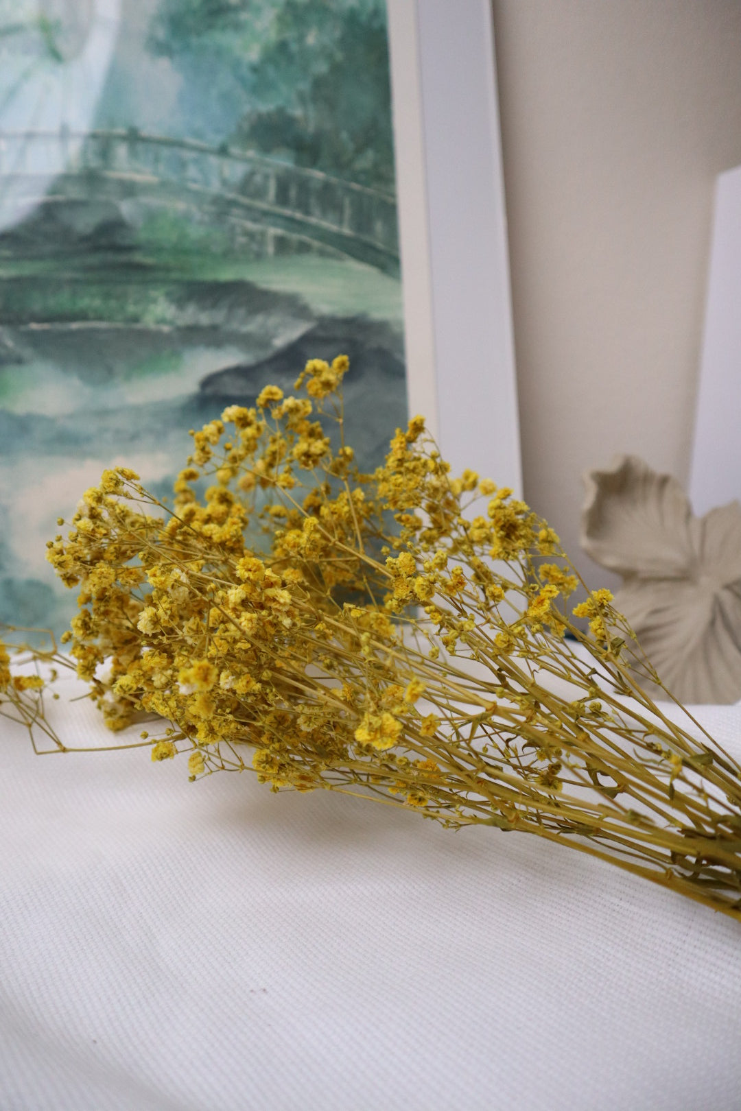 Gypsophile jaune -5tiges