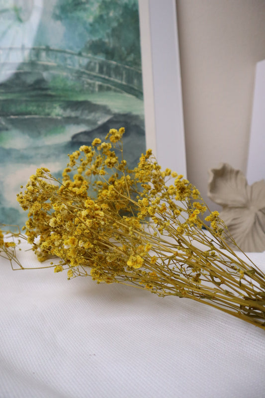 Gypsophile jaune -5tiges