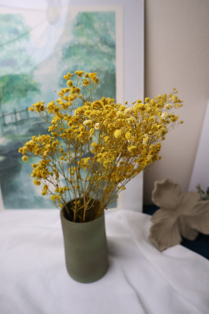 Gypsophile jaune -5tiges