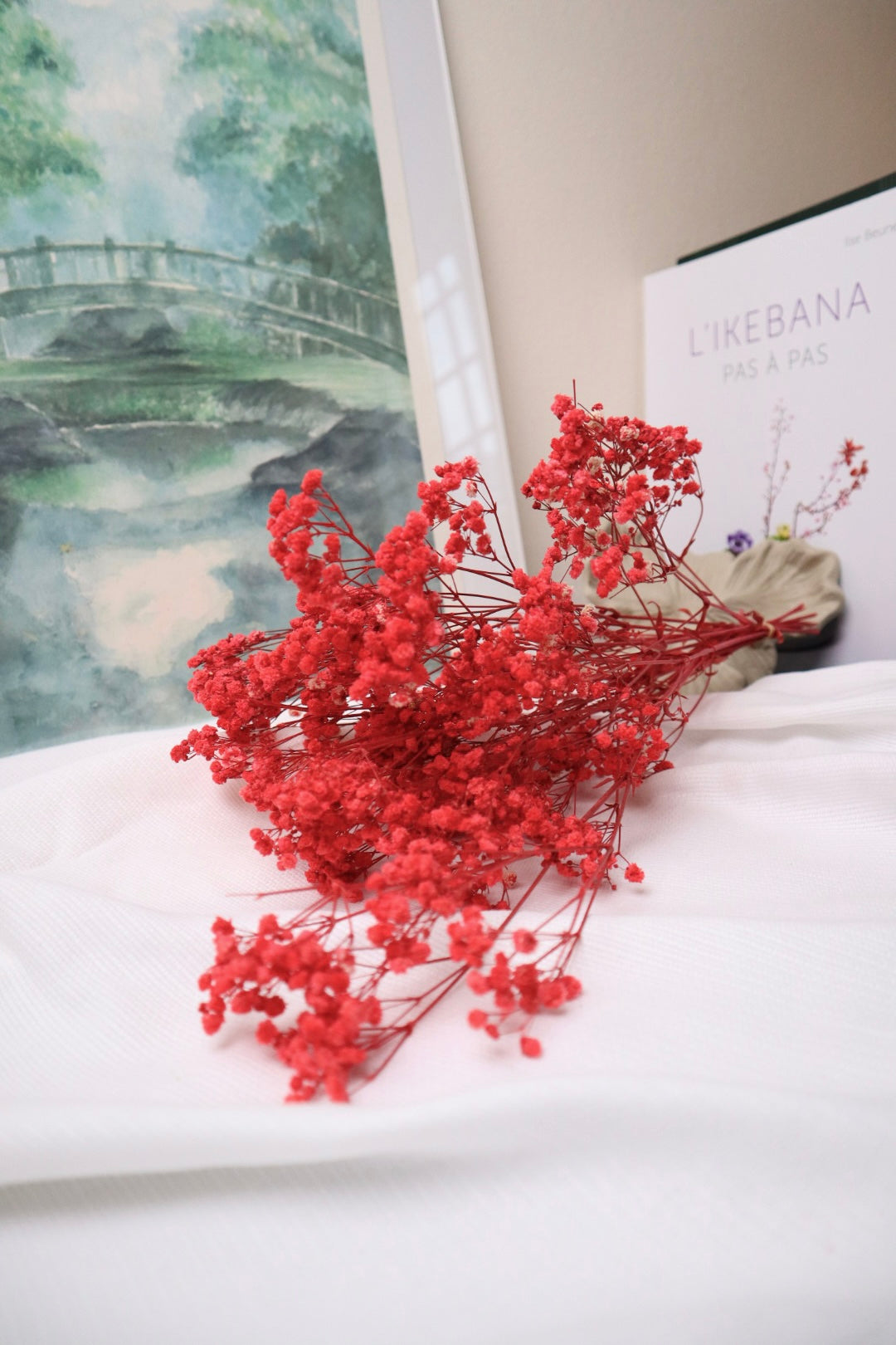 Gypsophile rouge -5tiges