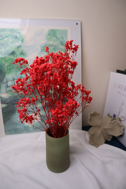 Gypsophile rouge -5tiges