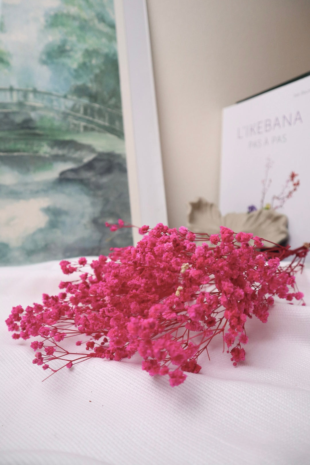 Gypsophile fuchsia -5 tiges