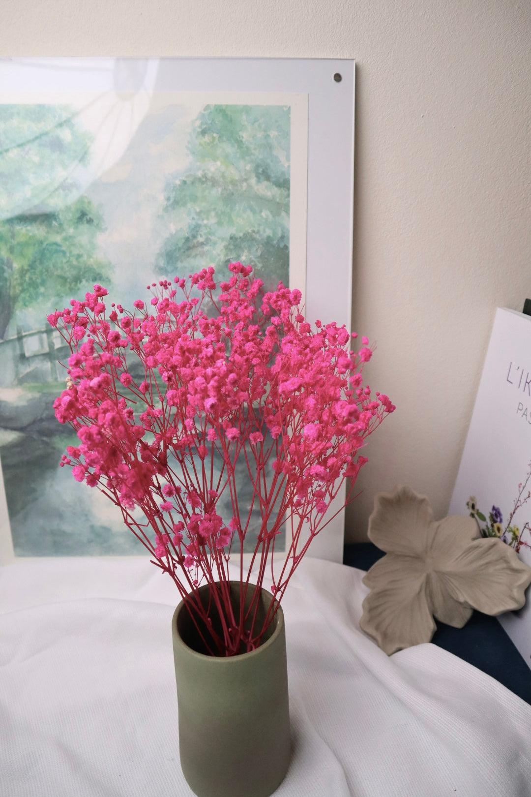 Gypsophile fuchsia -5 tiges