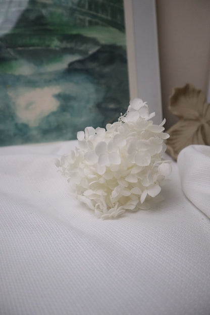 Hortensia blanche-1 tige