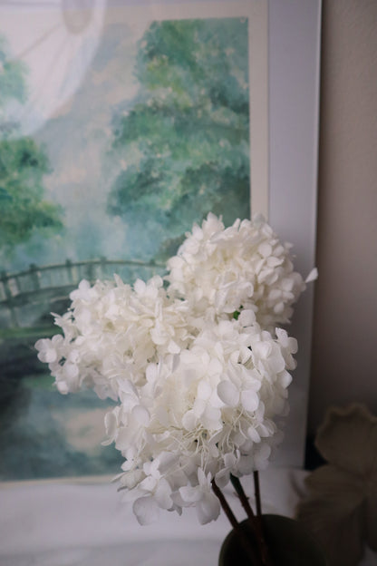 Hortensia blanche-1 tige