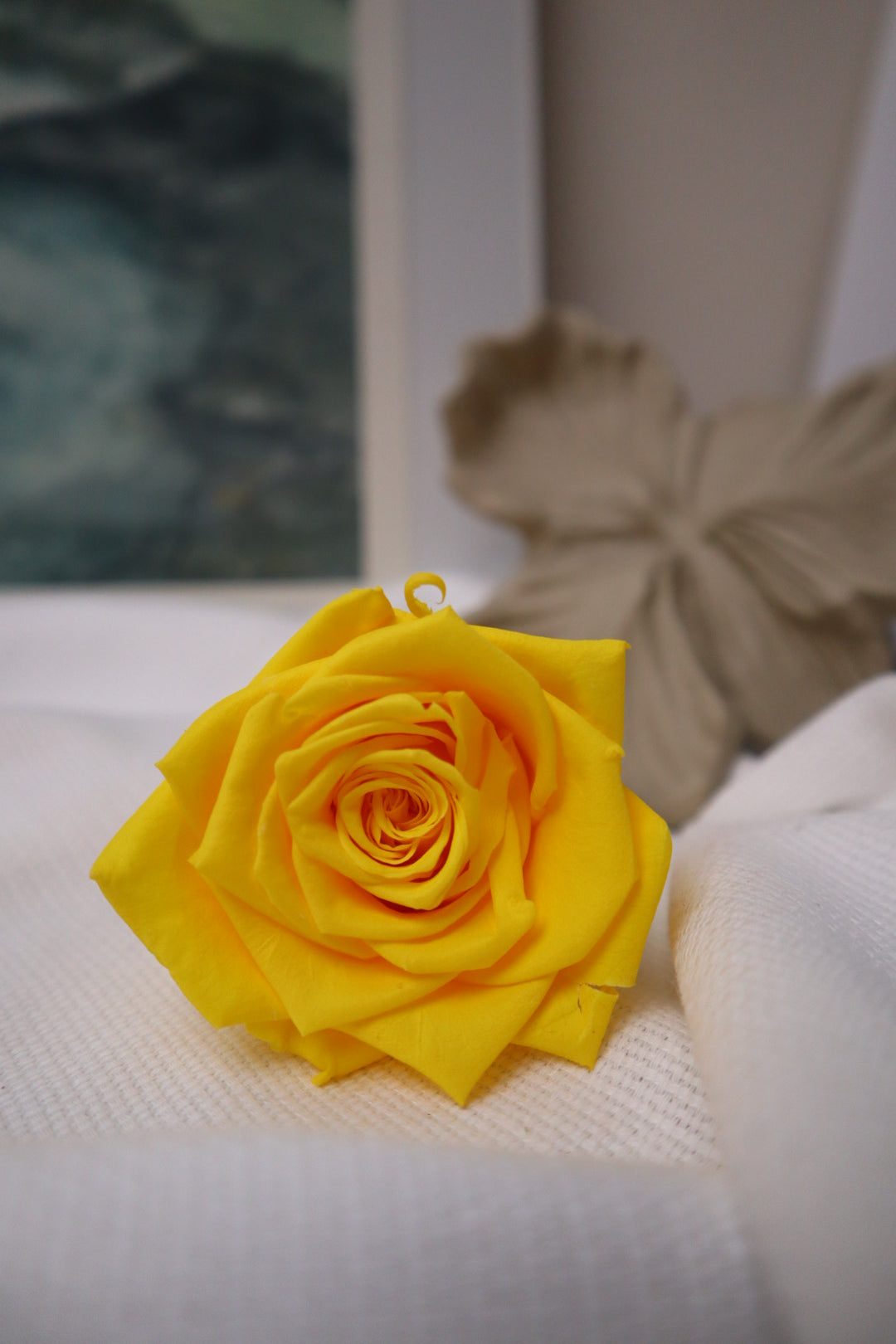 Rose jaune