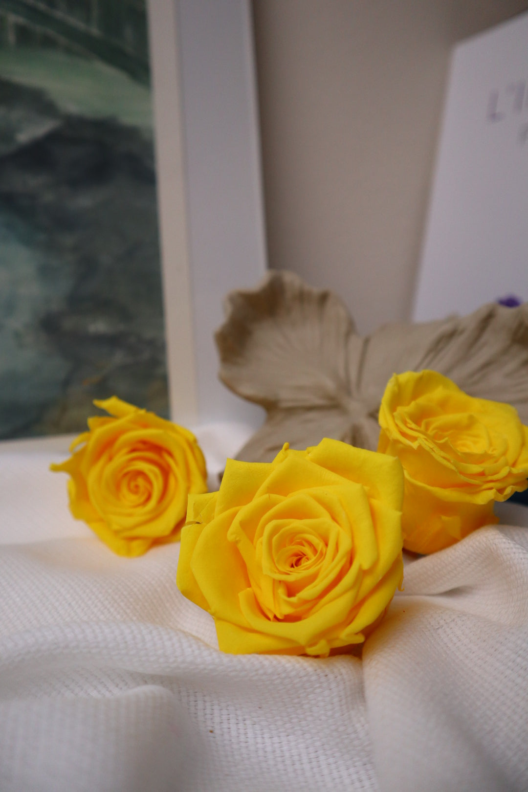 Rose jaune