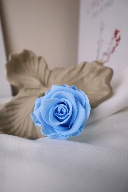 Rose bleu