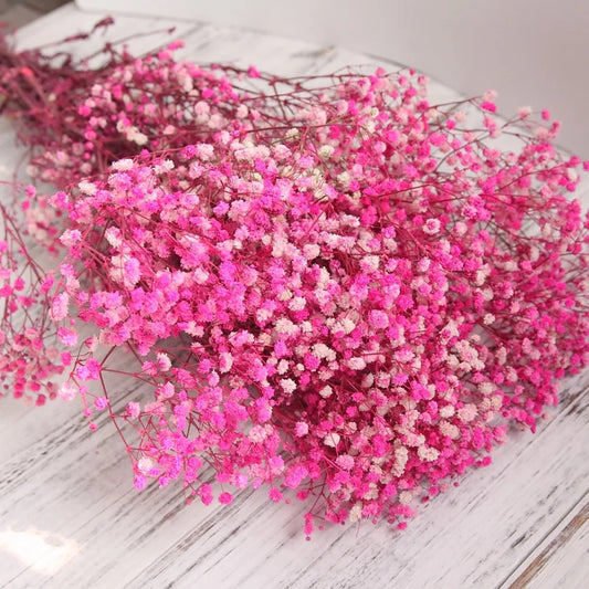 Dark pink stabilized gypsophila