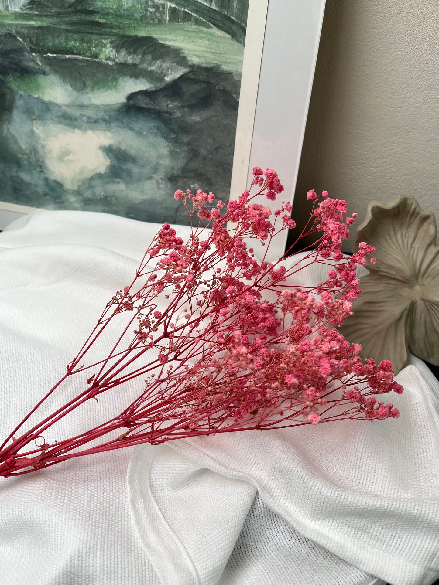 Gypsophile rose -5 tiges